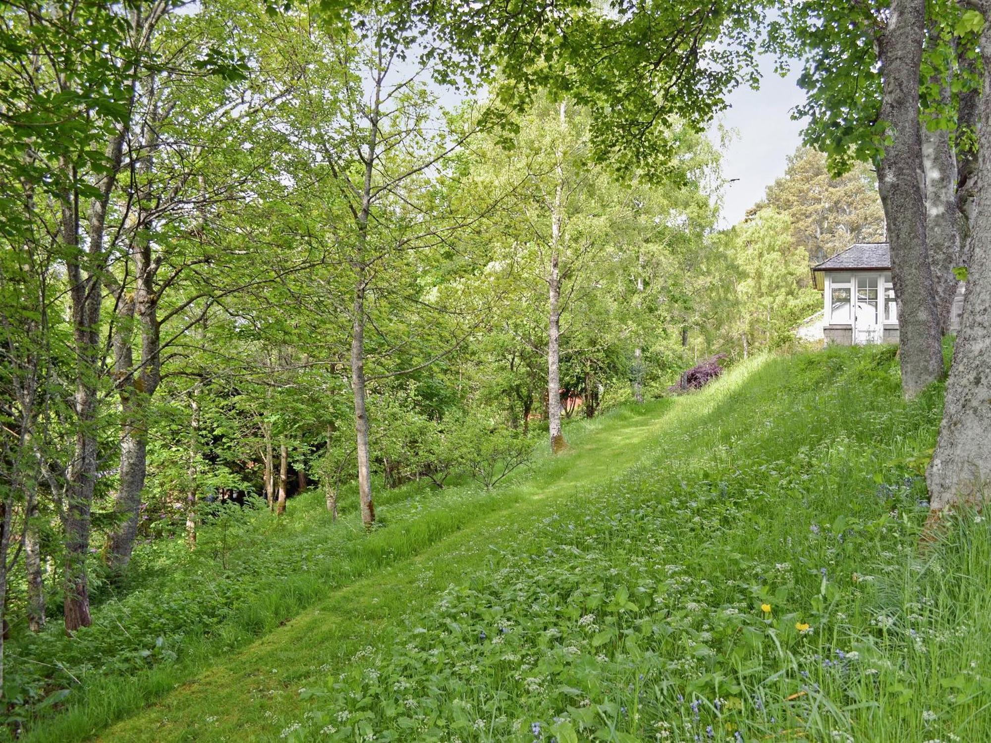 Treetops Newtonmore Exteriör bild